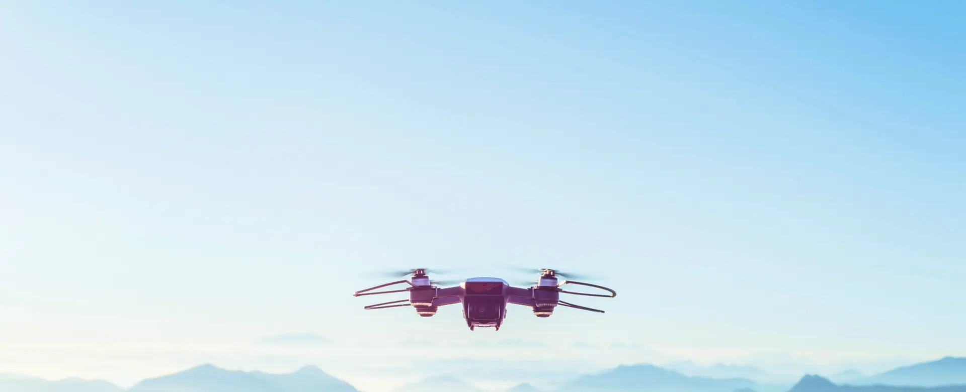 despre noi bg desktop scaled