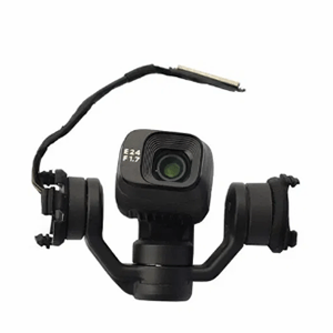 reparatie gimbal Mini 1